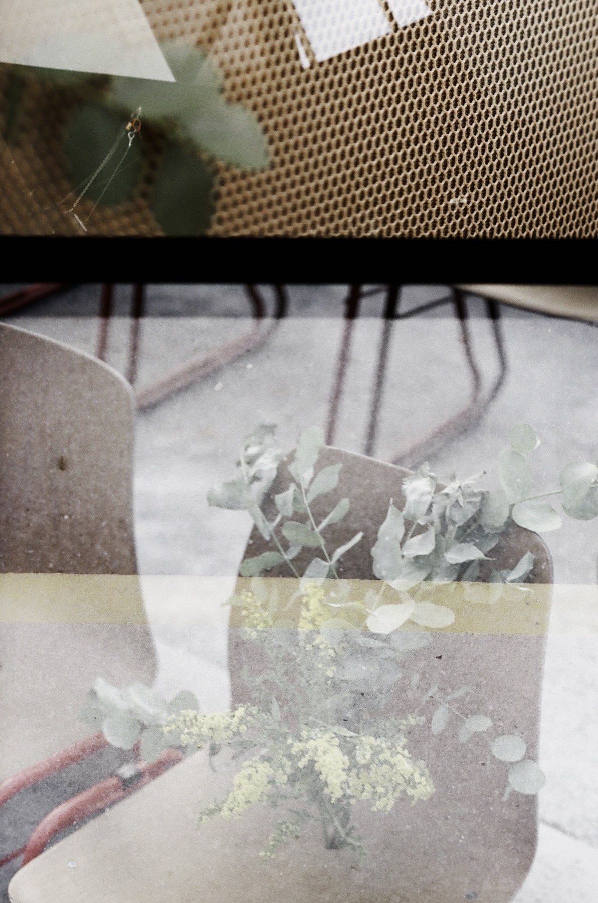 Grafenegg photograph 13